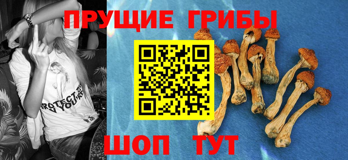 APVP Владимир