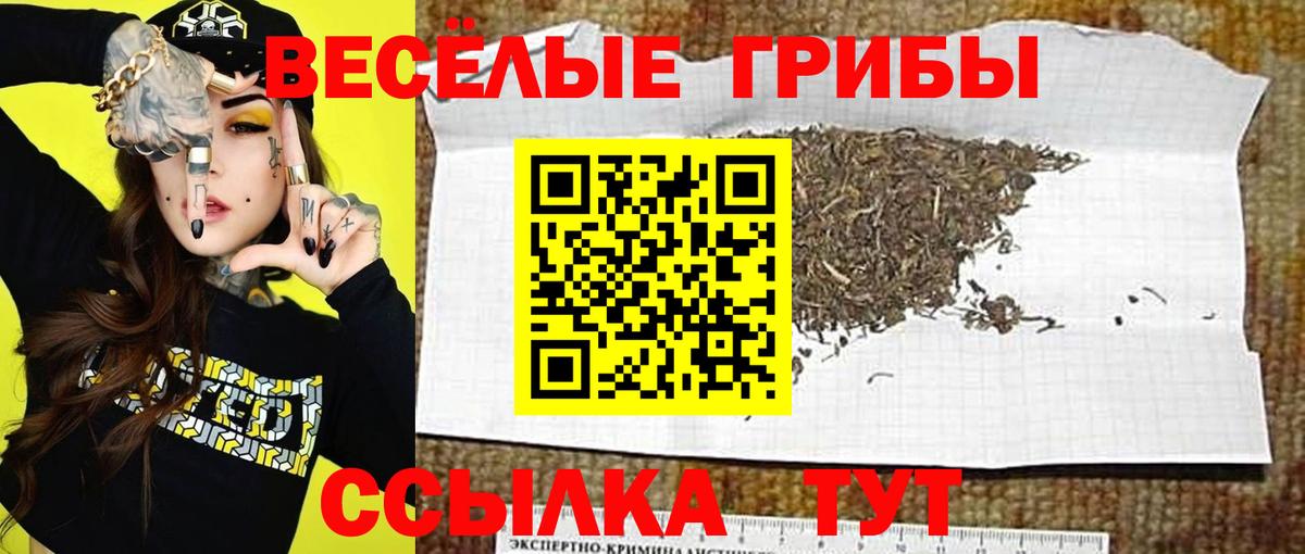 Псилоцибиновые грибы GOLDEN TEACHER  Псилоцибиновые грибы Magic Shrooms  Владимир  Вход с VPN 