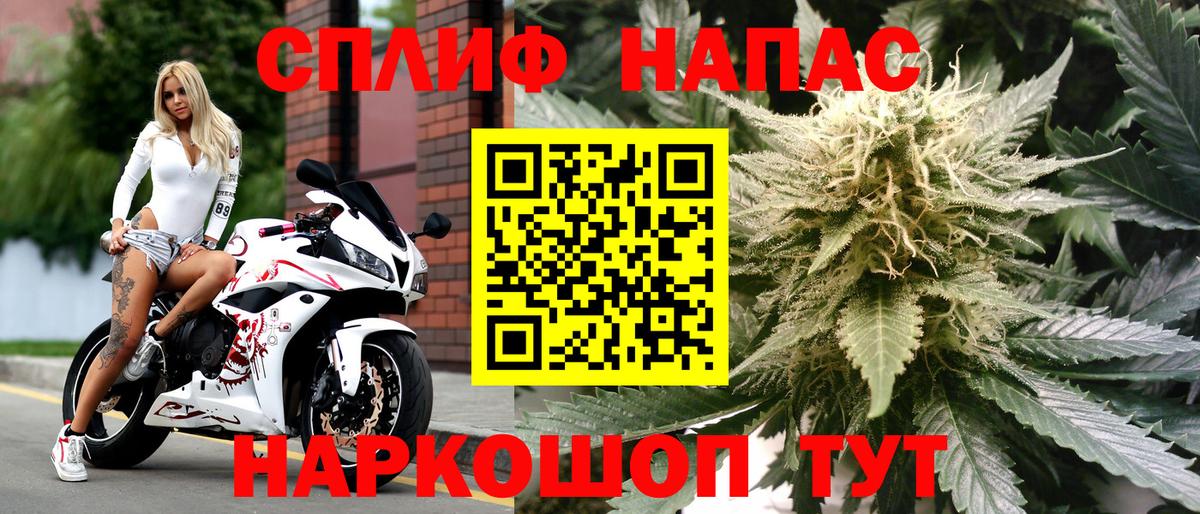 Бошки Шишки Amnesia  Вход с VPN  Канабис семена  Владимир 